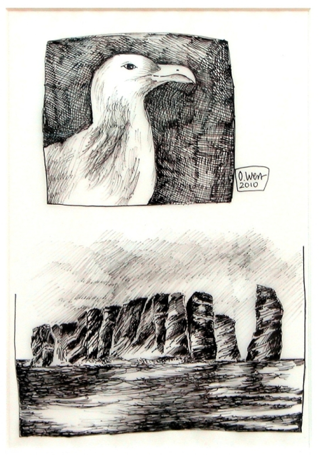 "Schmugglersohn von Norderney S83"